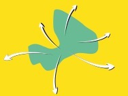 Transfert intra régional