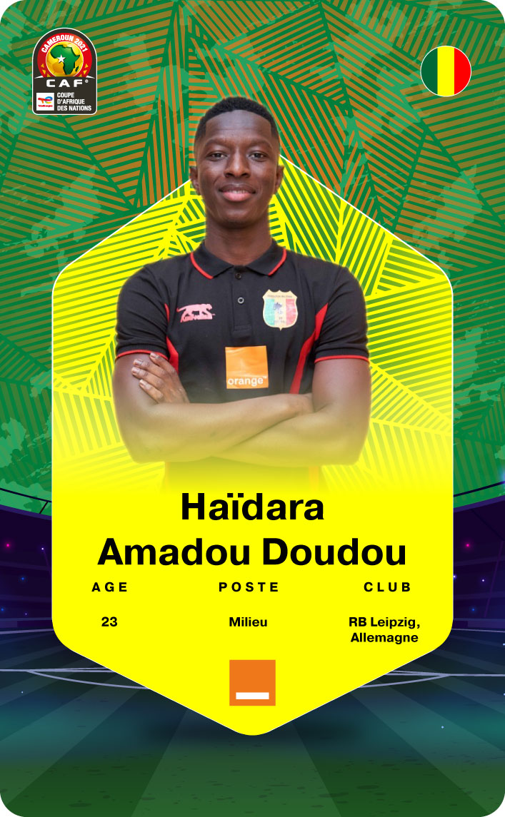 Carte-collector-Validé-13